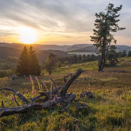 Fewo Poenblick Willingen  Exteriör bild
