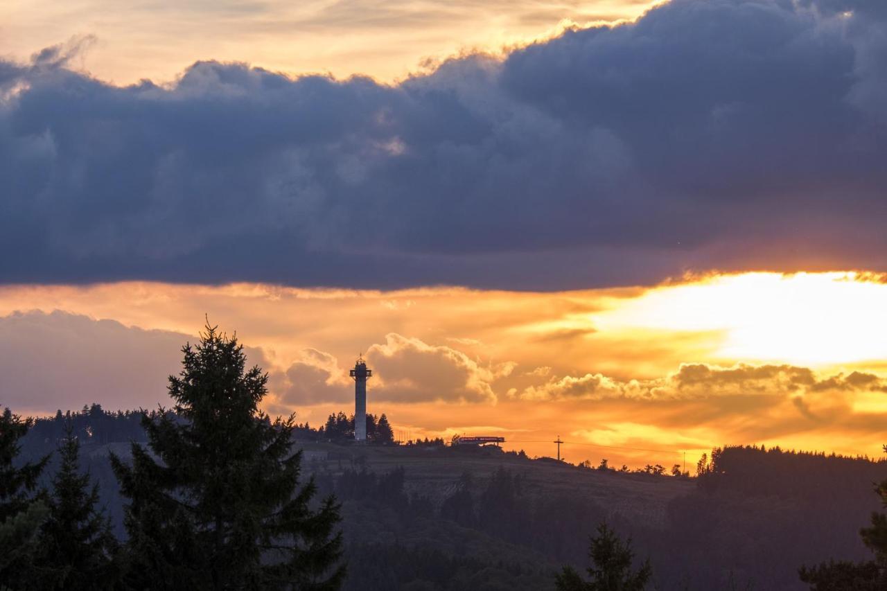 Fewo Poenblick Willingen  Exteriör bild