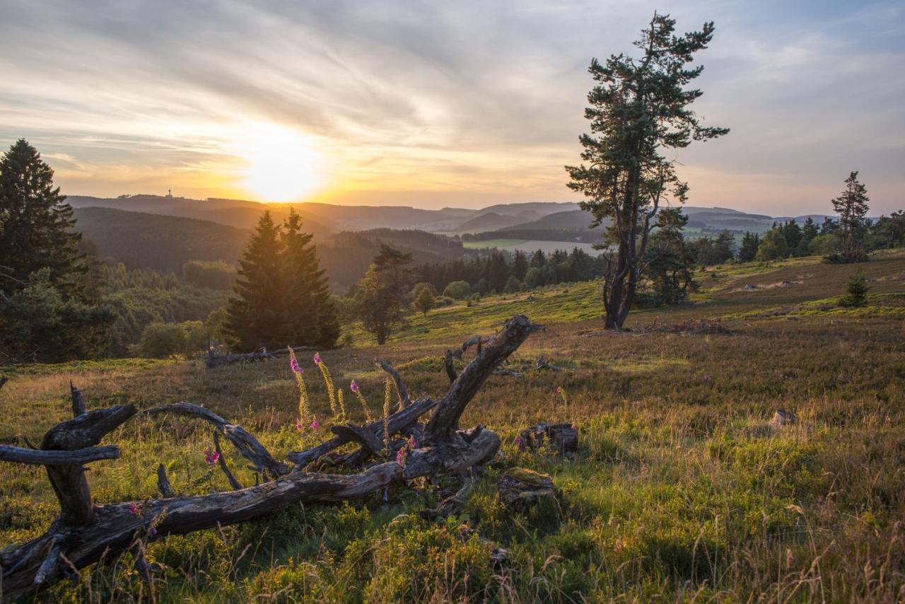Fewo Poenblick Willingen  Exteriör bild