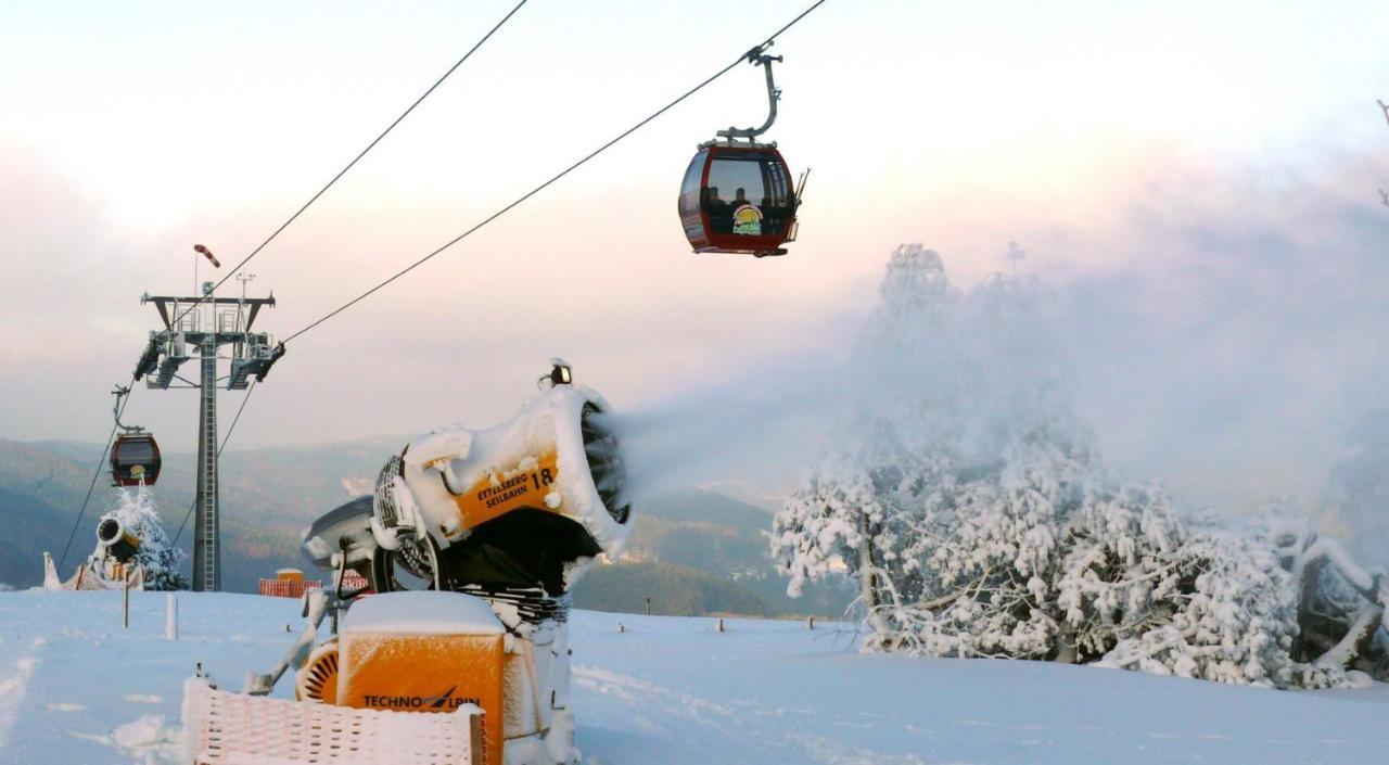 Fewo Poenblick Willingen  Exteriör bild
